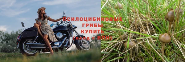 кристаллы Белокуриха